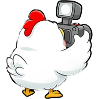 Pollo cámara – Chicken Road Race