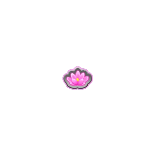 Loto – Frog Road