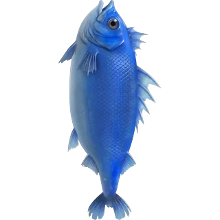 Pez azul – Ice Fish