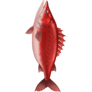 Pez rojo – Ice Fish