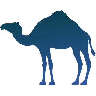 Camello – Plinko 1000